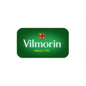 Vilmorin Mikado